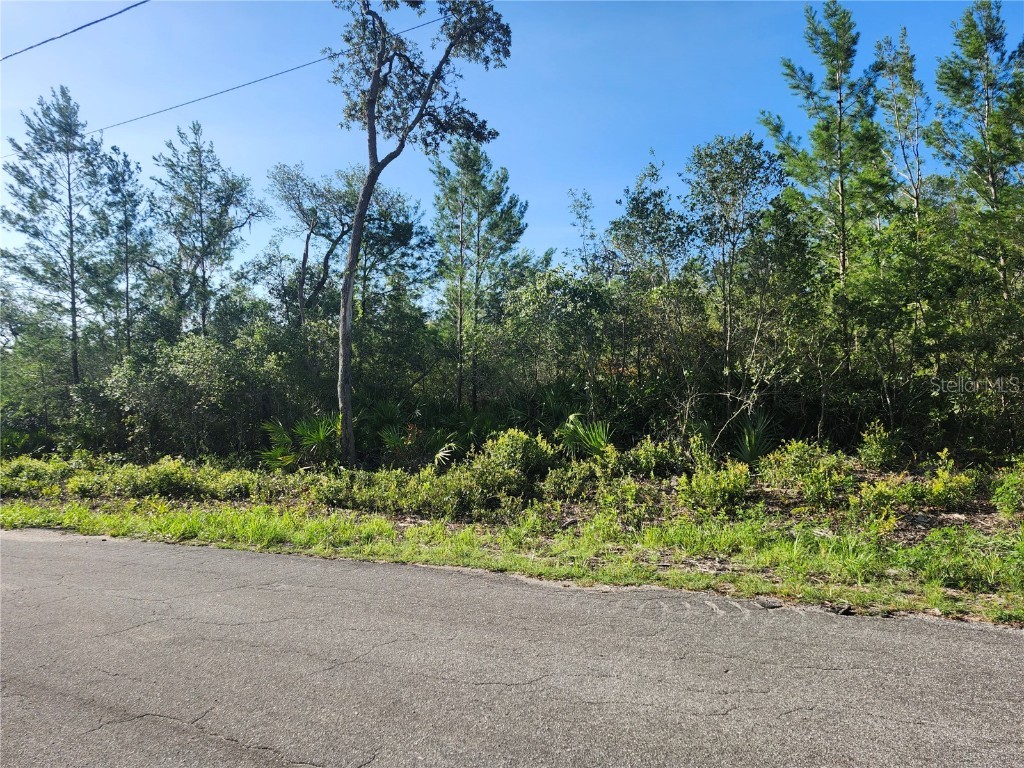 00 Fisher Trail Ocklawaha FL 32179 OM702589 image10