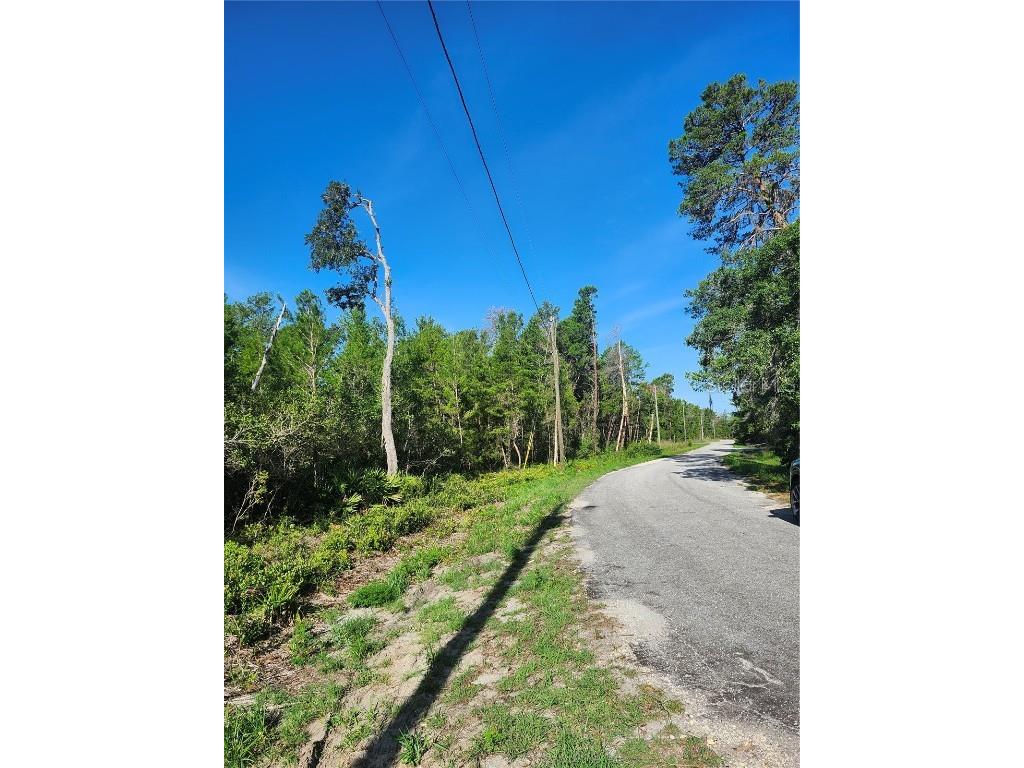 00 Fisher Trail Ocklawaha FL 32179 OM702589 image2
