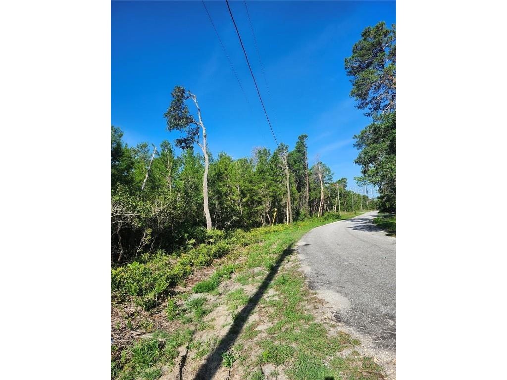 00 Fisher Trail Ocklawaha FL 32179 OM702589 image3