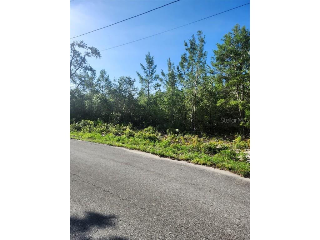 00 Fisher Trail Ocklawaha FL 32179 OM702589 image4