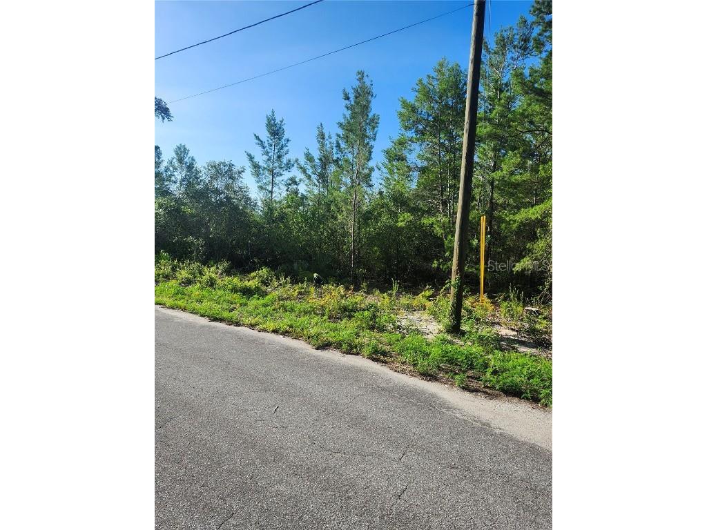 00 Fisher Trail Ocklawaha FL 32179 OM702589 image5