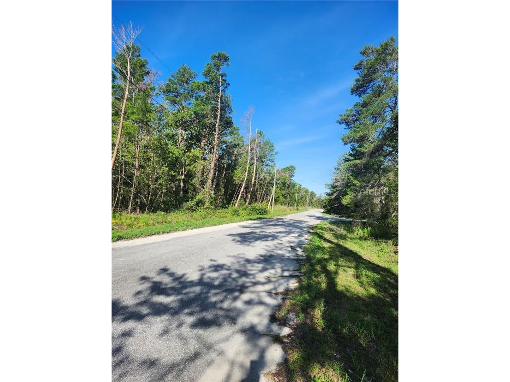 00 Fisher Trail Ocklawaha FL 32179 OM702589 image8