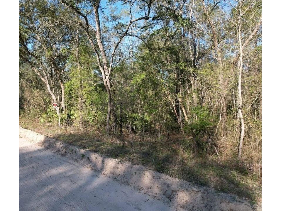 00 Jasper FL 32052 S5133498 image2