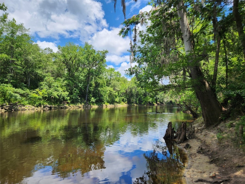 00 Jasper FL 32052 S5133498 image5