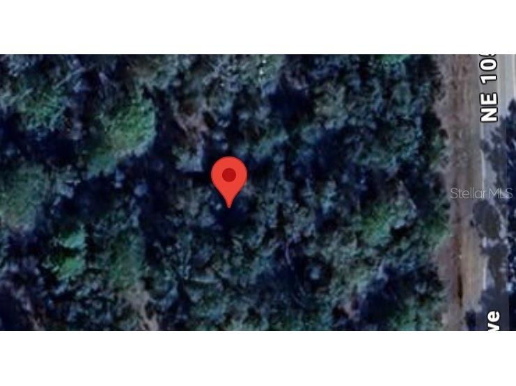 00 Ne 105th Ave Bronson FL 32621 S5101583 image1