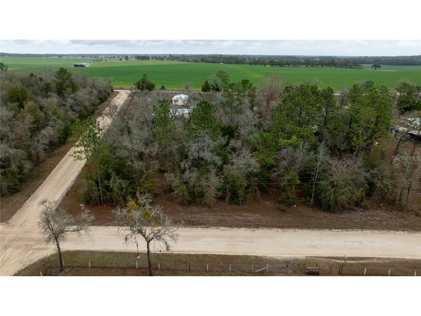 00 Ne 134th Ct Williston FL 32696 OM671767 image1