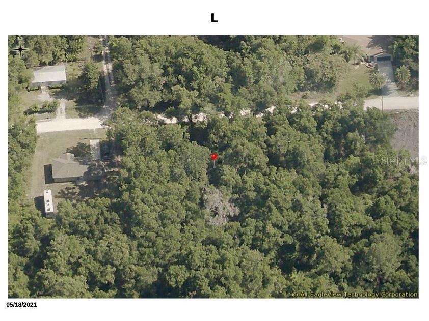 00 Se 142nd Street Belleview FL 34420 U8186594 image1