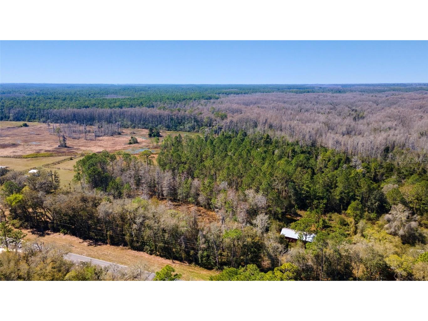 00 Se County Rd 337 Morriston FL 32668 OM655908 image1