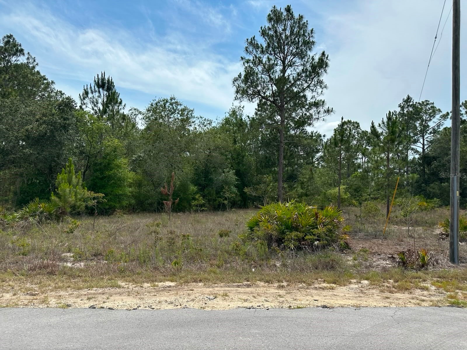00 South Haven Court Dunnellon FL 34431 - TIGER LAKE AND BONABLE LAKE OM726536 image1