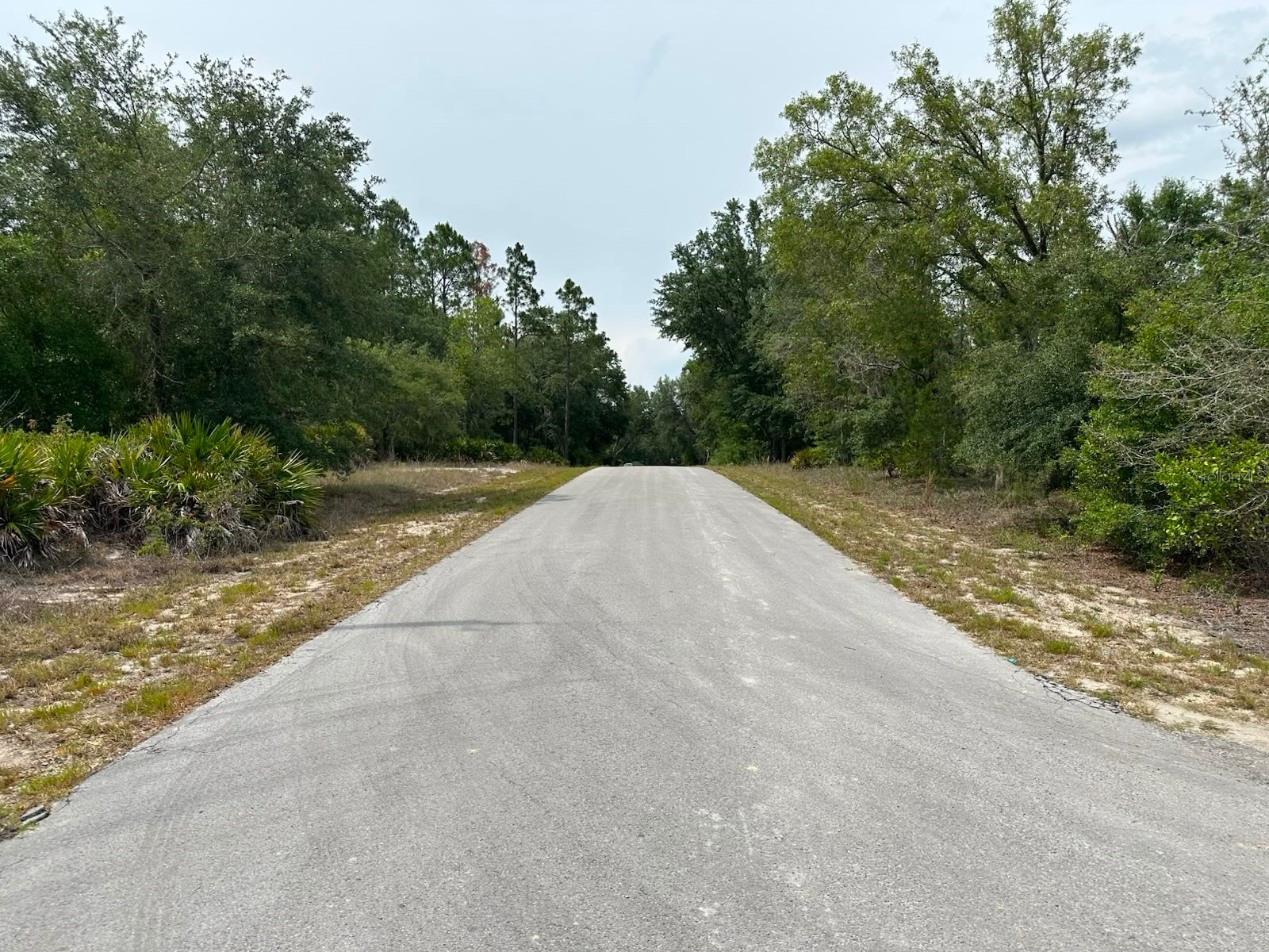 00 South Haven Court Dunnellon FL 34431 - TIGER LAKE AND BONABLE LAKE OM726536 image2
