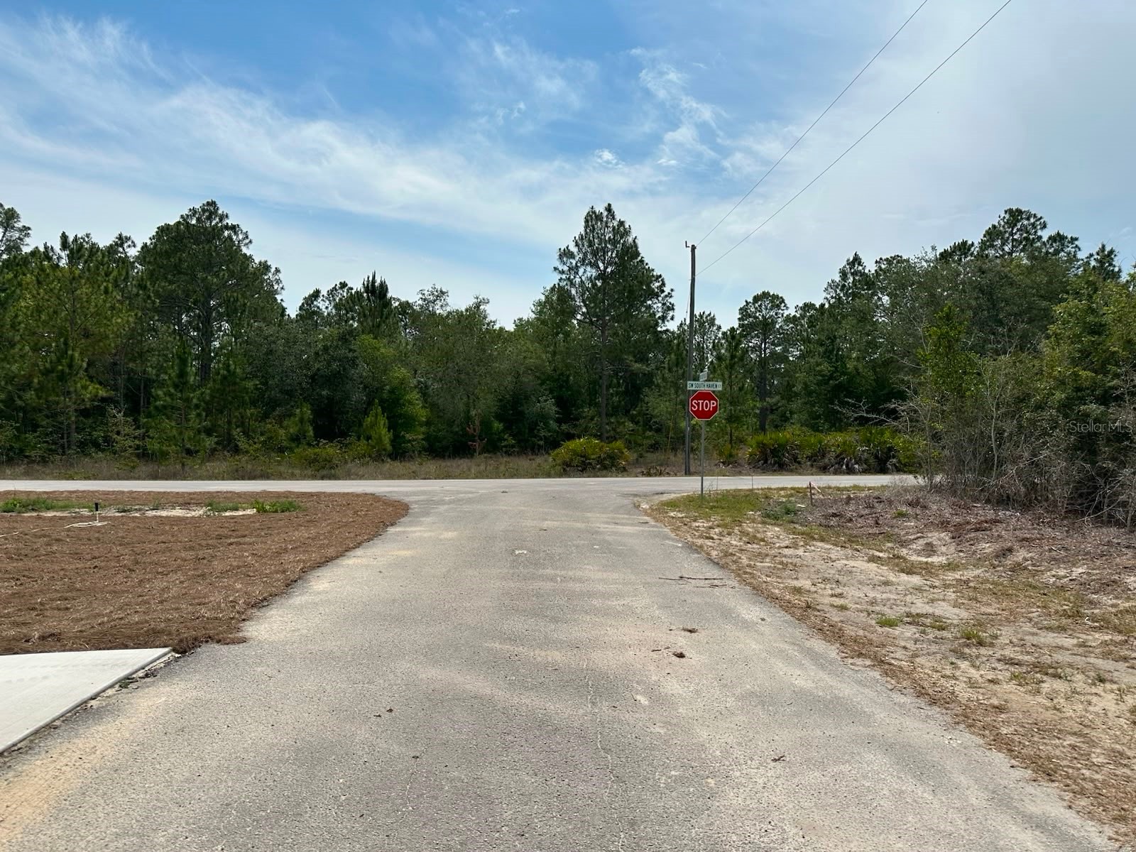 00 South Haven Court Dunnellon FL 34431 - TIGER LAKE AND BONABLE LAKE OM726536 image3
