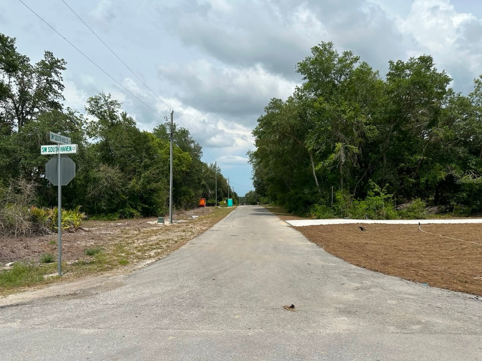 00 South Haven Court Dunnellon FL 34431 - TIGER LAKE AND BONABLE LAKE OM726536 image4