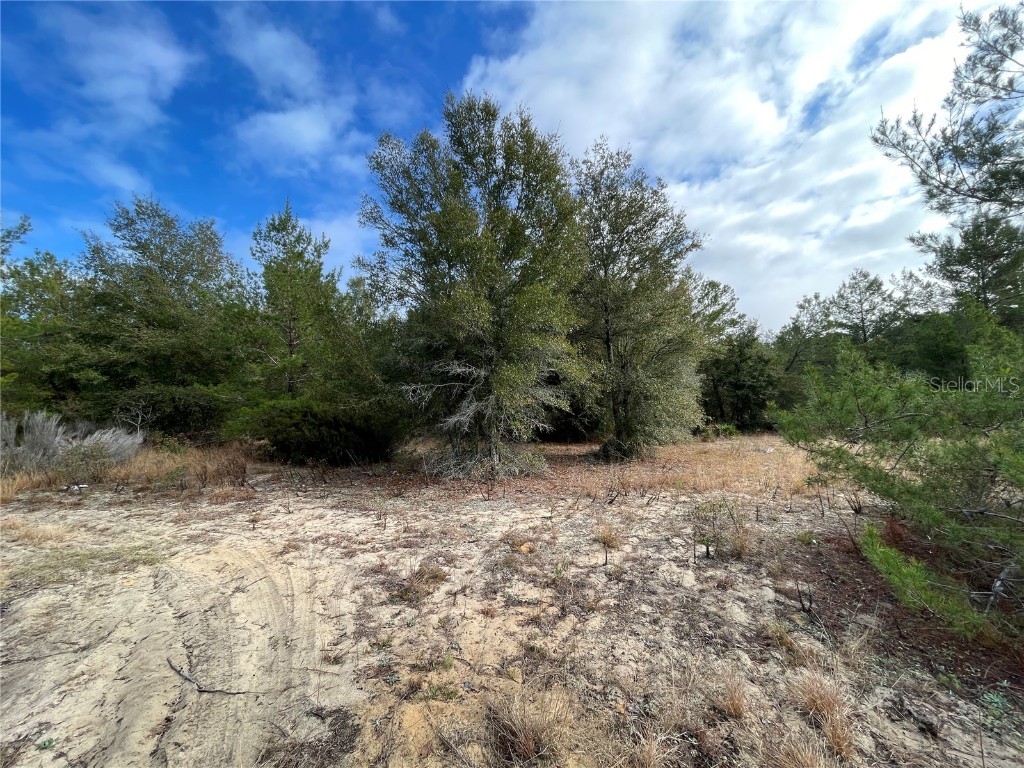 00 Sr 20 Interlachen FL 32148 G5101879 image5