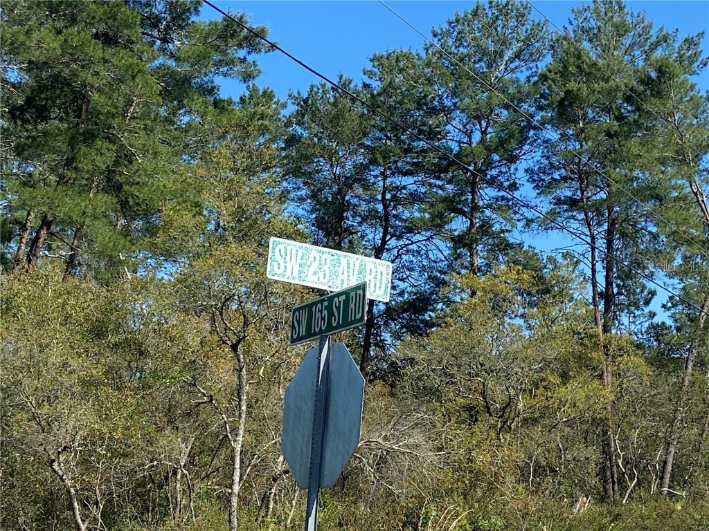 00 Sw 165th St. Rd Ocala FL 34473 OM668851 image1