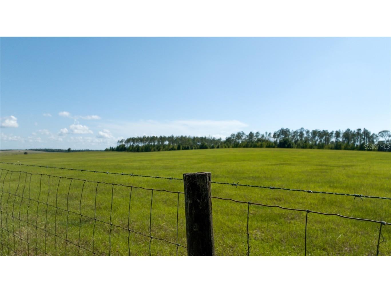 00 Sw 220th Ave Dunnellon FL 34431 OM701533 image1