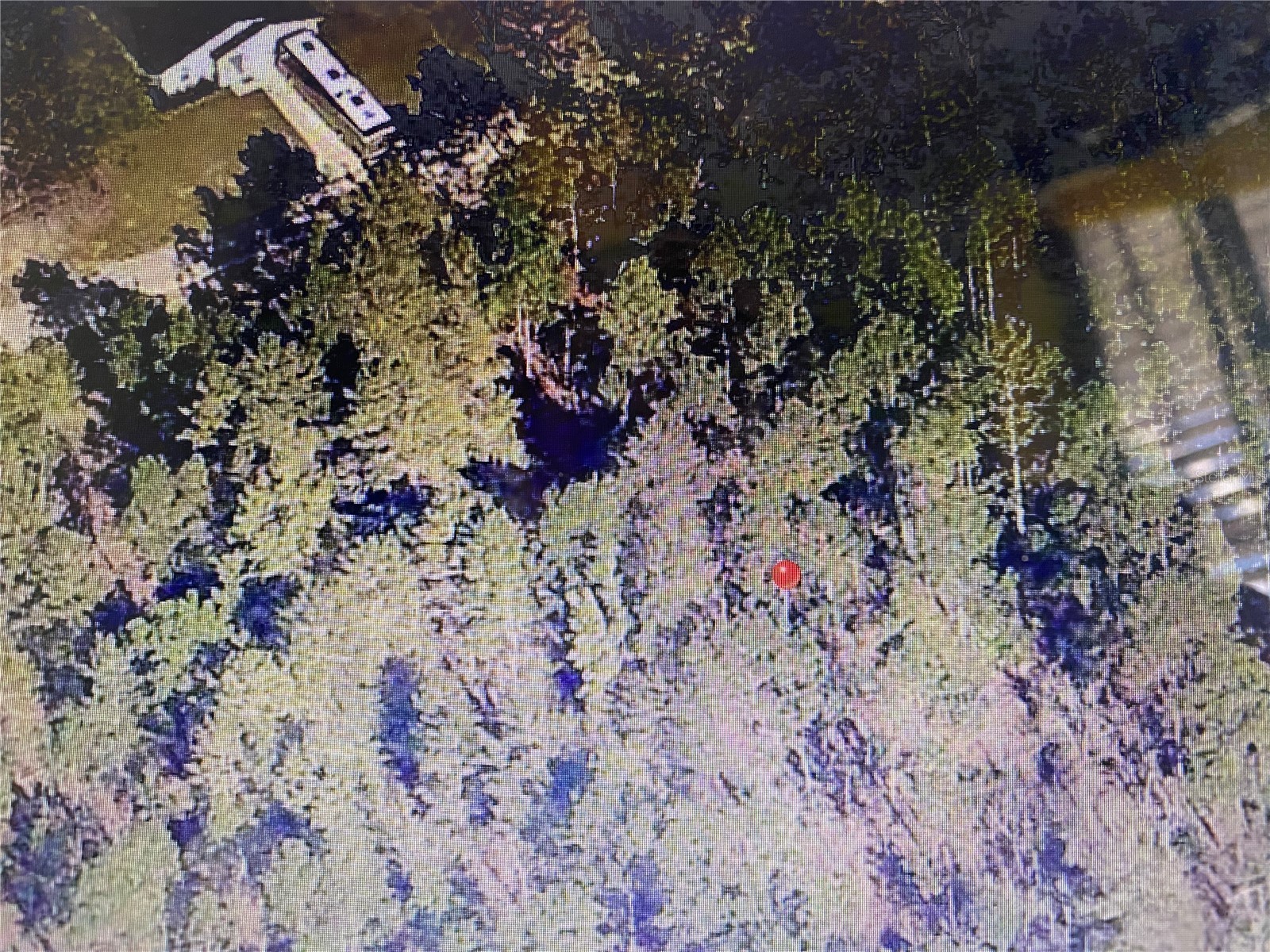 00 Sw 60th Ln Rd Ocala FL 34481 OM726614 image1