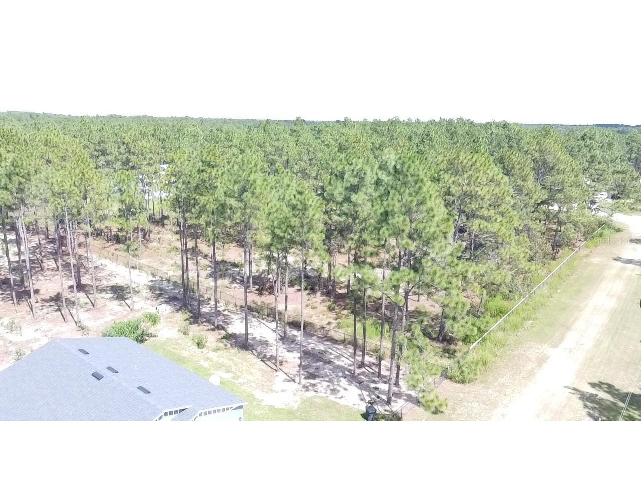 00 Sw 69th Place Ocala Fl 34481 Ocala FL 34481 OM700253 image11