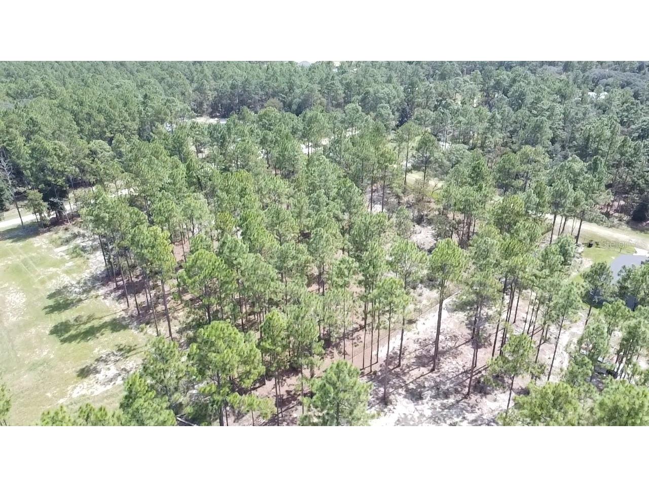 00 Sw 69th Place Ocala Fl 34481 Ocala FL 34481 OM700253 image17