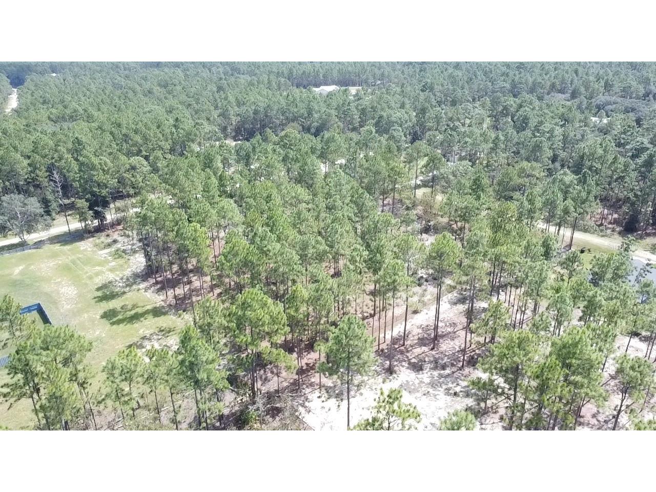 00 Sw 69th Place Ocala Fl 34481 Ocala FL 34481 OM700253 image7