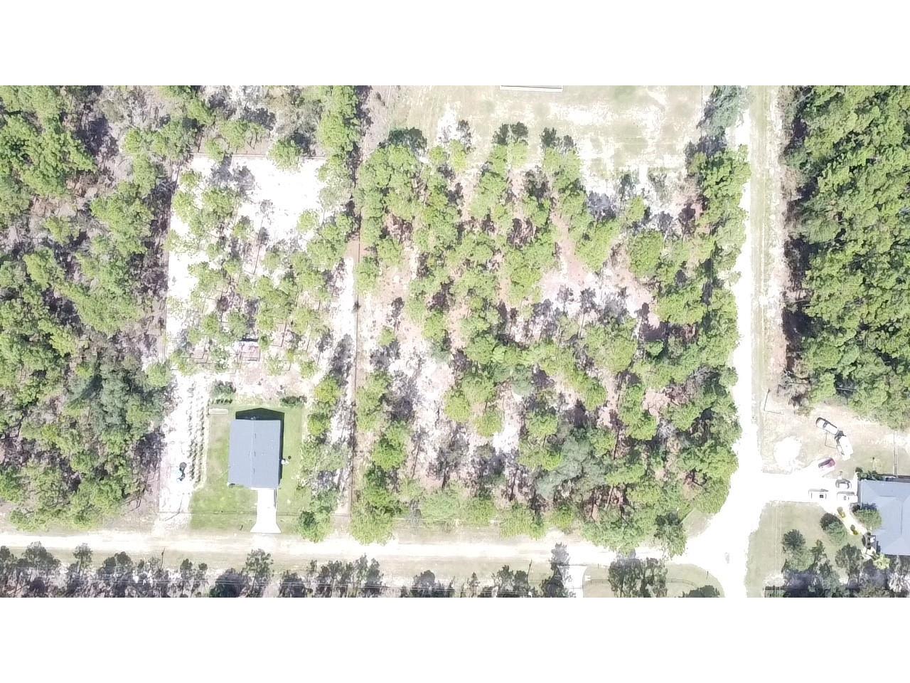 00 Sw 69th Place Ocala Fl 34481 Ocala FL 34481 OM700253 image8