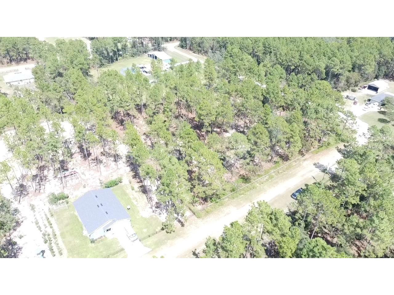 00 Sw 69th Place Ocala Fl 34481 Ocala FL 34481 OM700253 image9