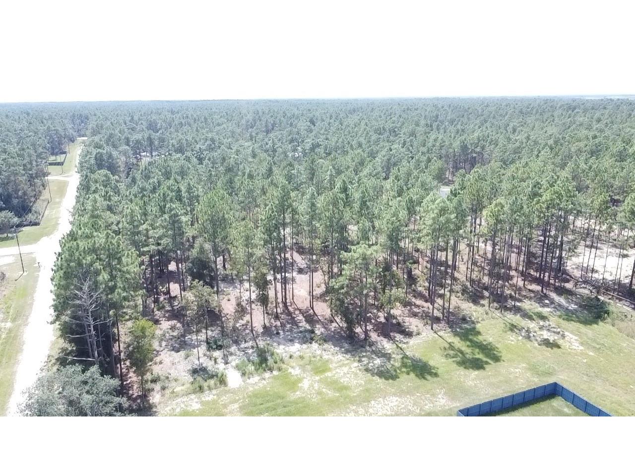 00 Sw 69th Place Ocala Fl 34481- Ocala FL 34481 OM700254 image14