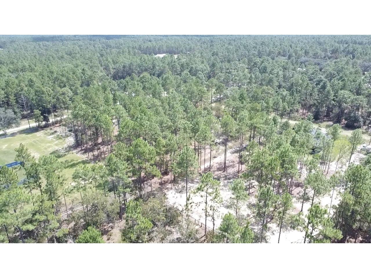 00 Sw 69th Place Ocala Fl 34481- Ocala FL 34481 OM700254 image3