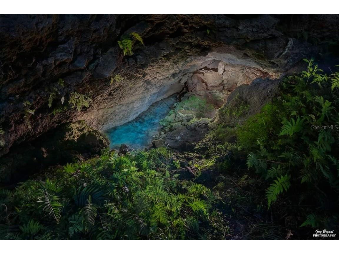 00 Williston FL 32696 O6172618 image1