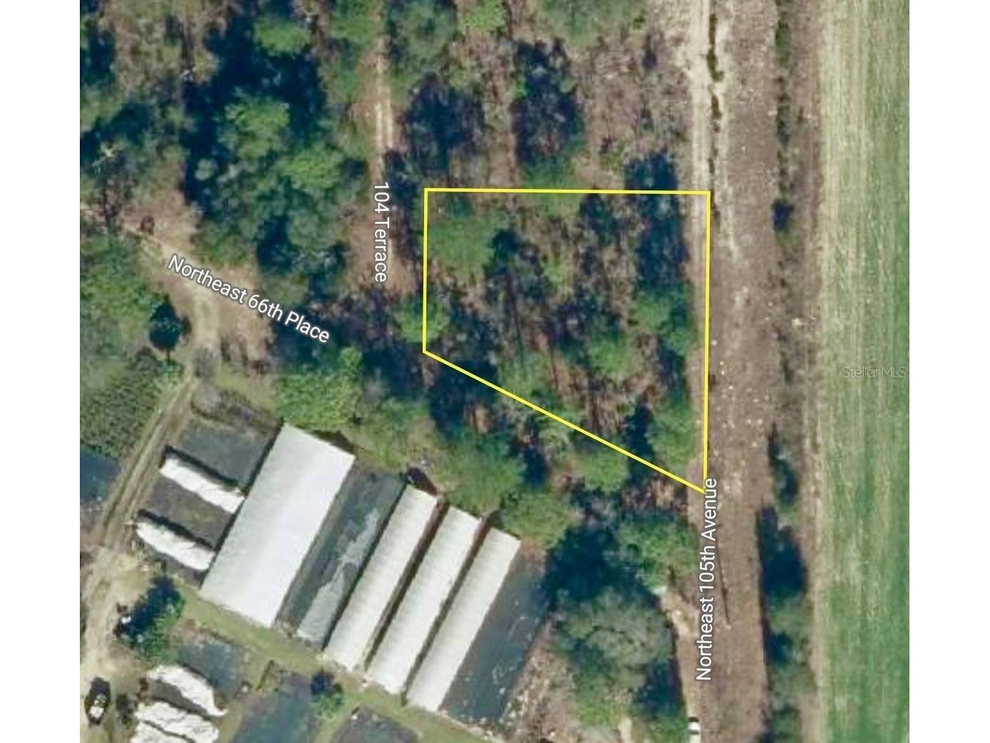 000 66th Pl. Ne Bronson FL 32621 O6387660 image2