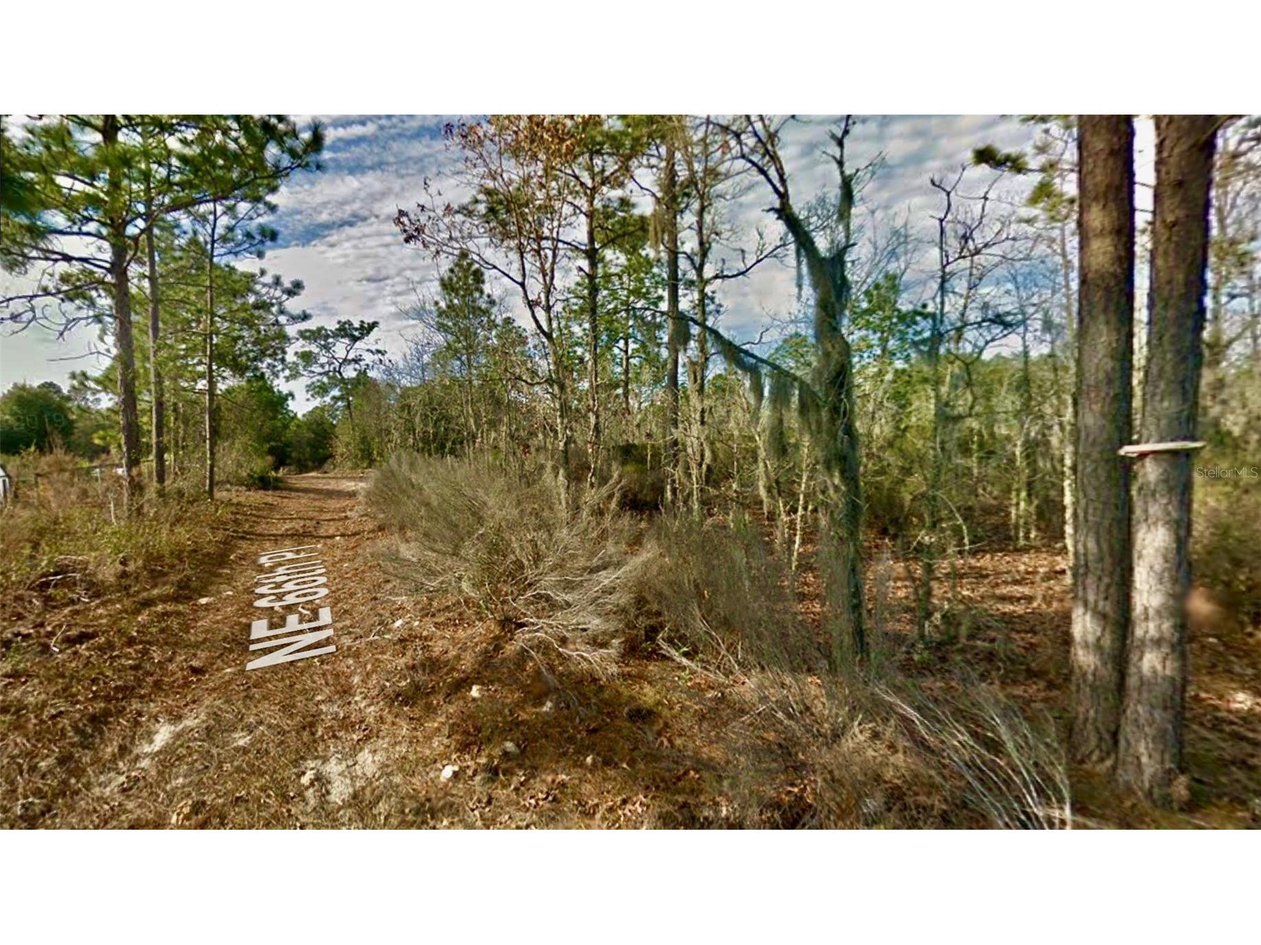 000 66th Pl. Ne Bronson FL 32621 O6387660 image4