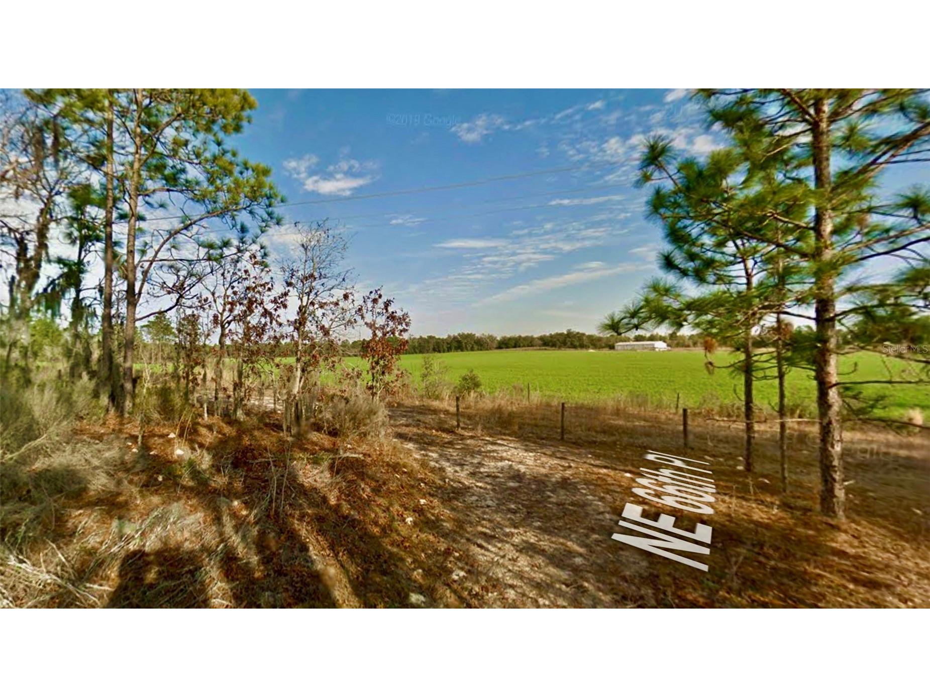 000 66th Pl. Ne Bronson FL 32621 O6387660 image7