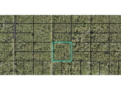 000 Dillon Avenue Hastings FL 32145 FC309673 image1