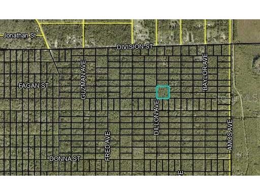 000 Dillon Avenue Hastings FL 32145 FC309673 image2