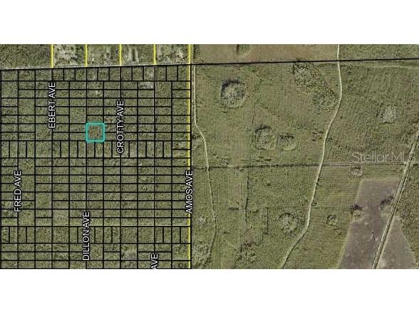 000 Dillon Avenue Hastings FL 32145 FC309673 image3