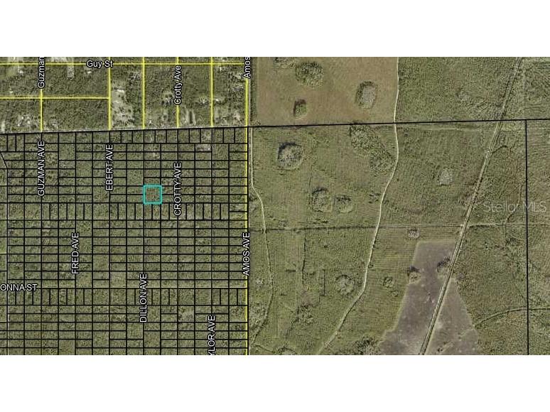 000 Dillon Avenue Hastings FL 32145 FC309673 image4