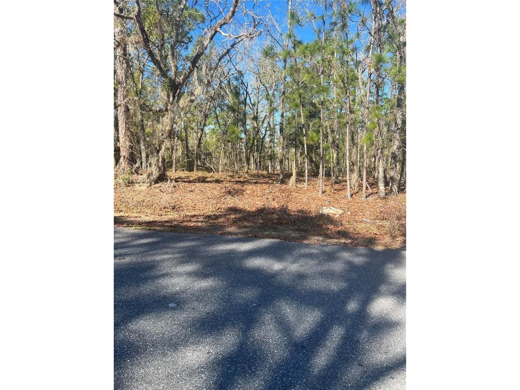 000 Locust Loop Dr Ocala FL 34476 OM652118 image1