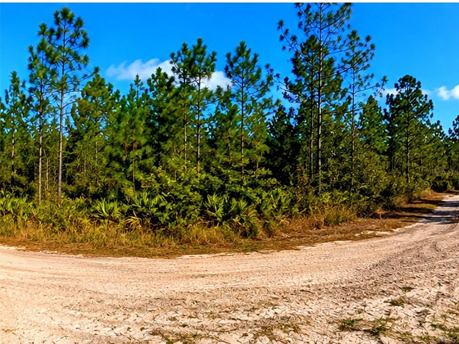 000 Malabar FL 32950 S5153178 image3