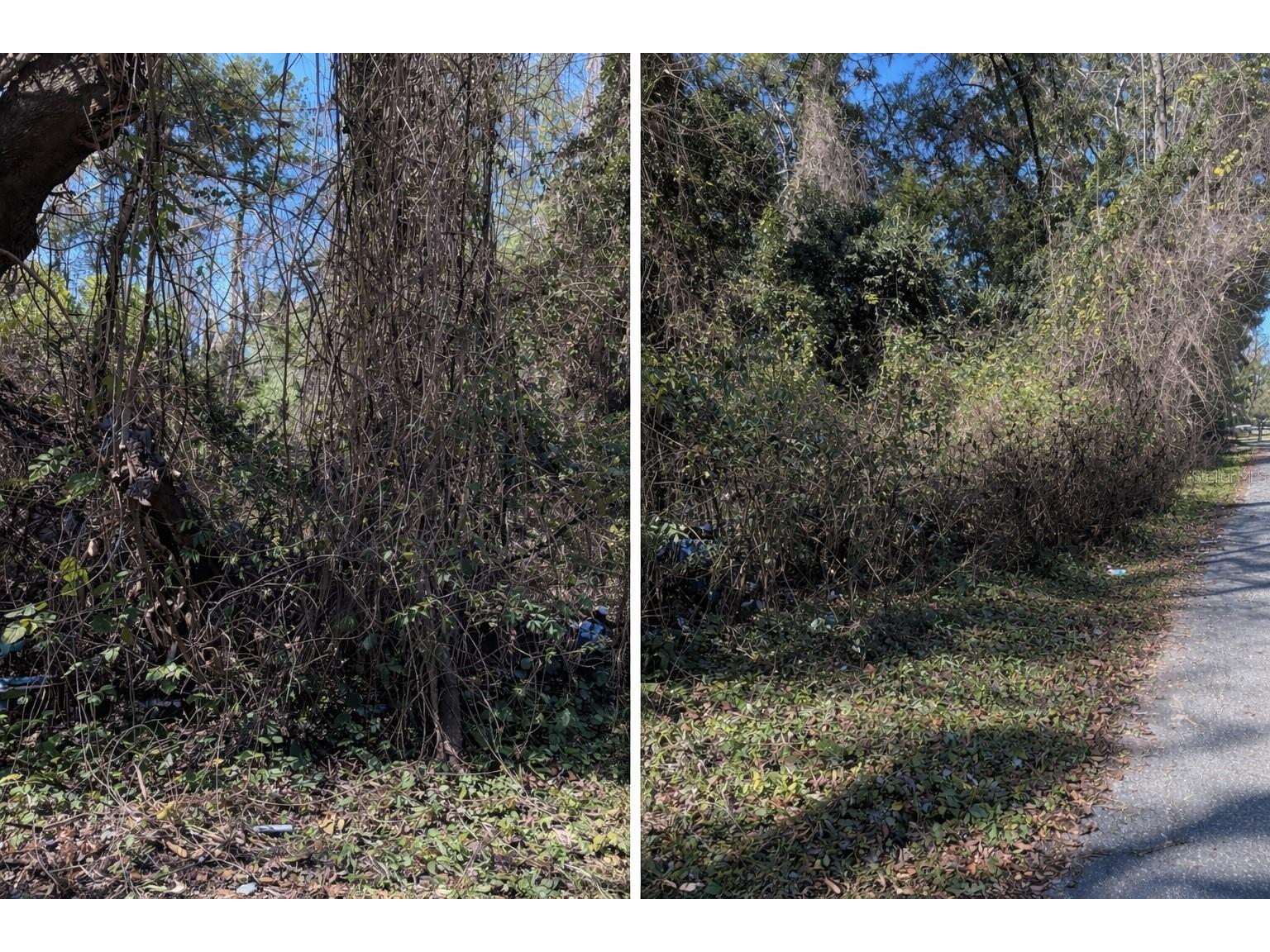 0000 Nw 134th Ter Alachua FL 32615 GC536618 image4