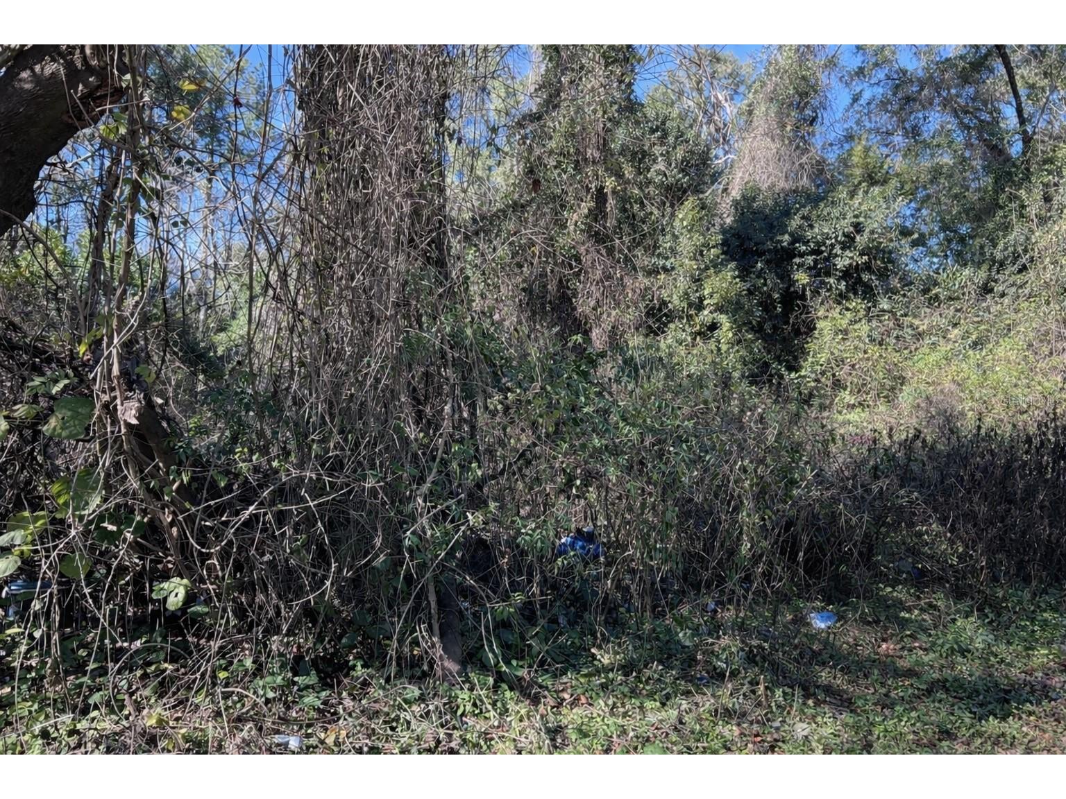 0000 Nw 134th Ter Alachua FL 32615 GC536618 image5