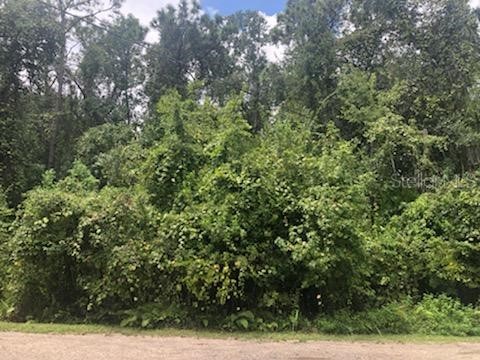 0000 Telford Street New Port Richey FL 34654 W7854551 image1