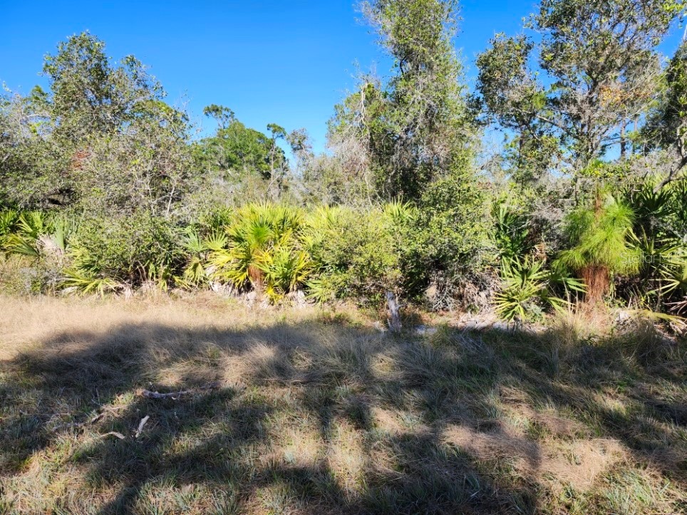 #10 Cody Circle #10 North Port FL 34291 N6135976 image1