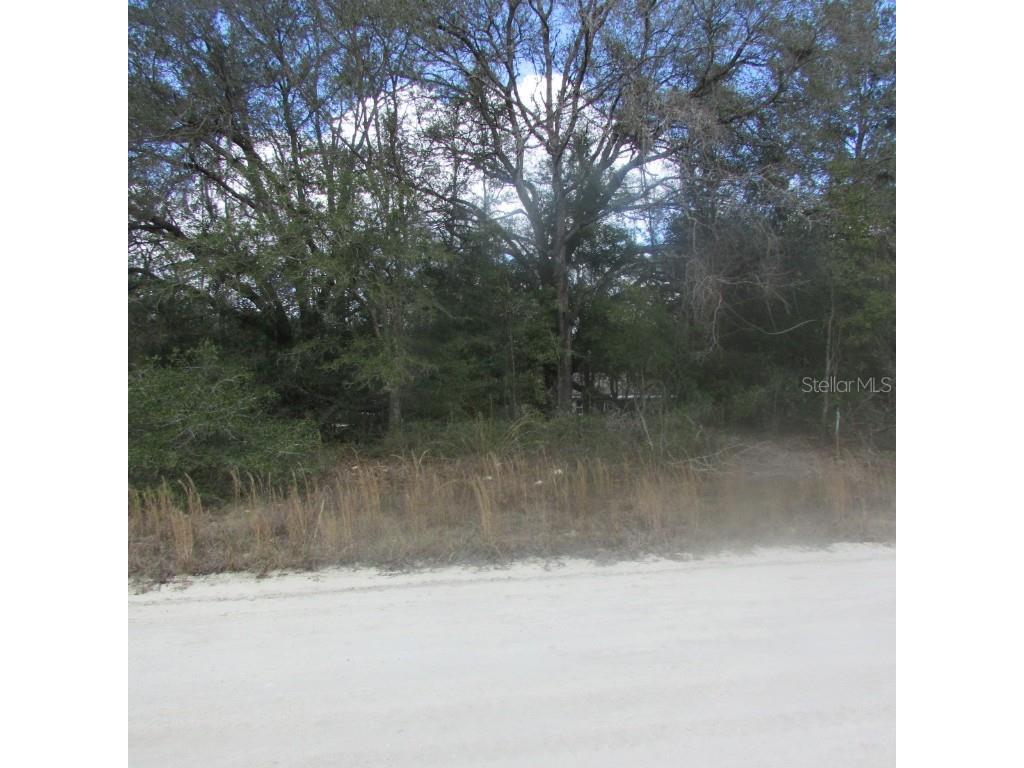 102nd Street Dunnellon FL 34432 G5054772 image1