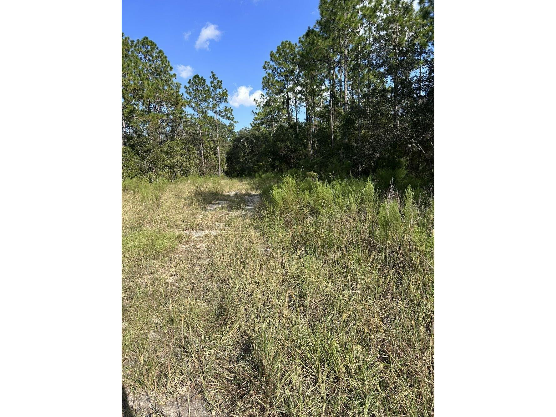 103 Lee Dr Hawthorne FL 32640 GC536860 image4