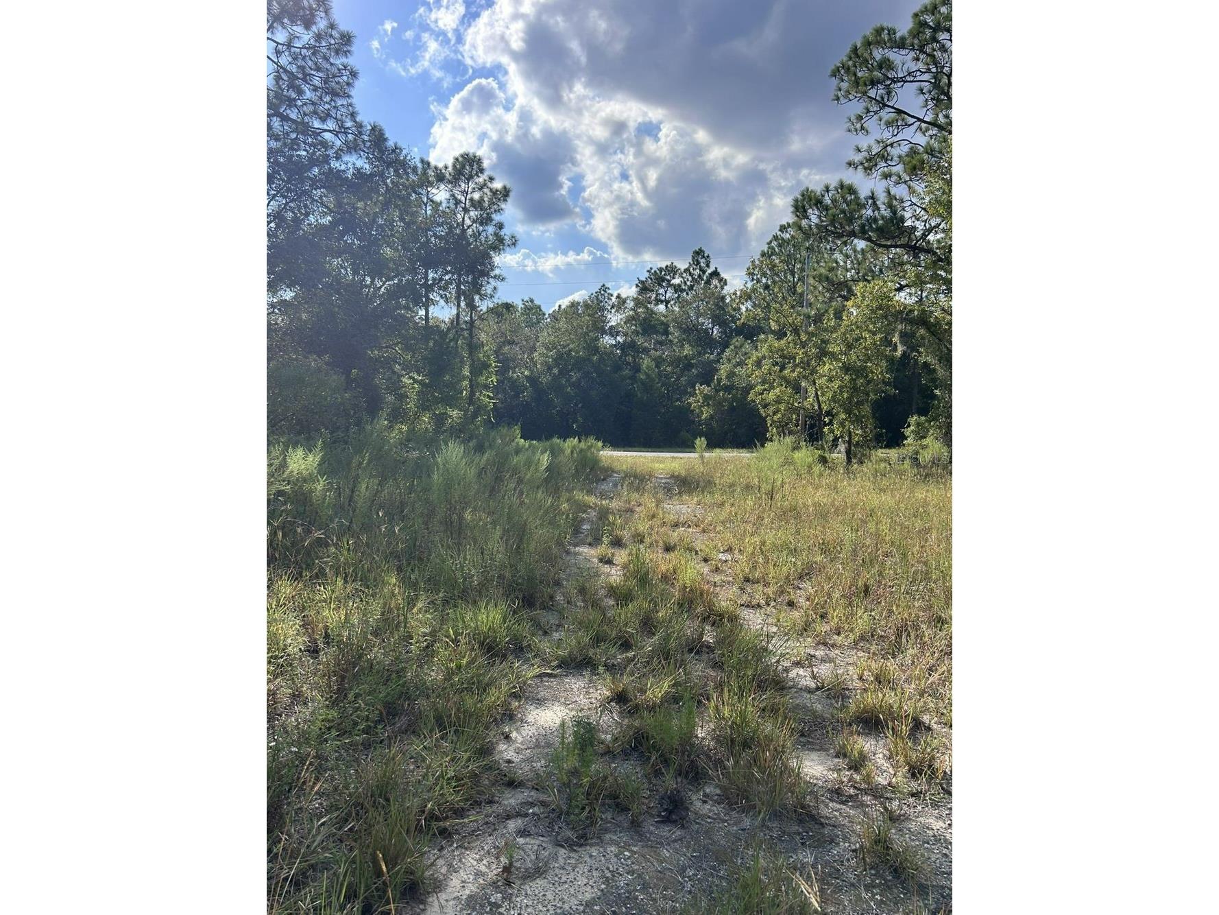 103 Lee Dr Hawthorne FL 32640 GC536860 image6