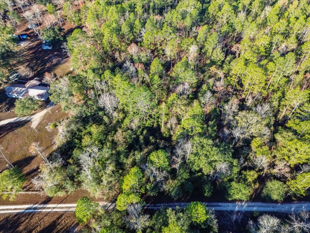 103rd Drive O'Brien FL 32071 GC536129 image10