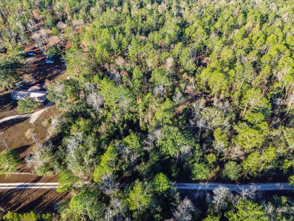 103rd Drive O'Brien FL 32071 GC536129 image11
