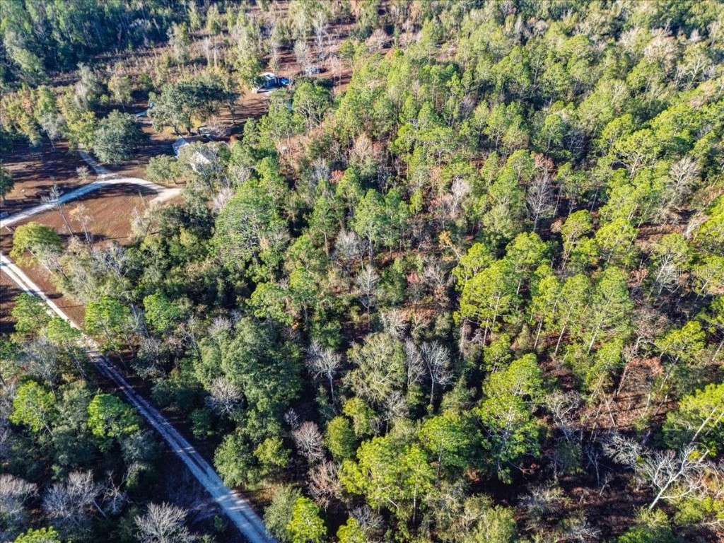 103rd Drive O'Brien FL 32071 GC536129 image12