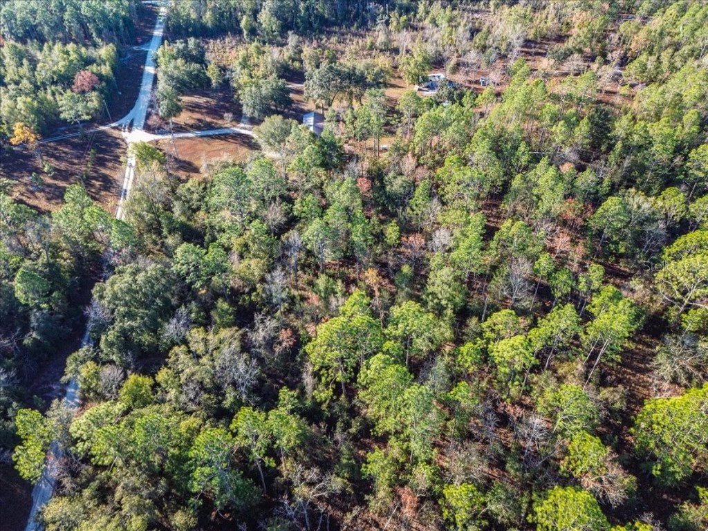 103rd Drive O'Brien FL 32071 GC536129 image13