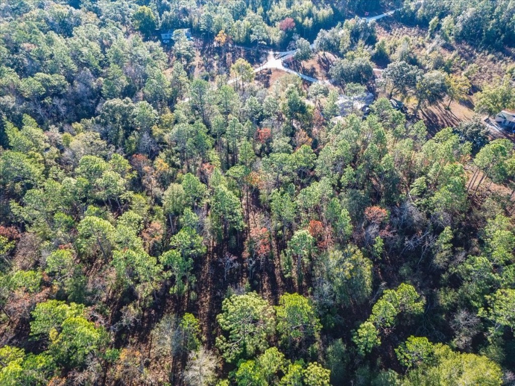 103rd Drive O'Brien FL 32071 GC536129 image14