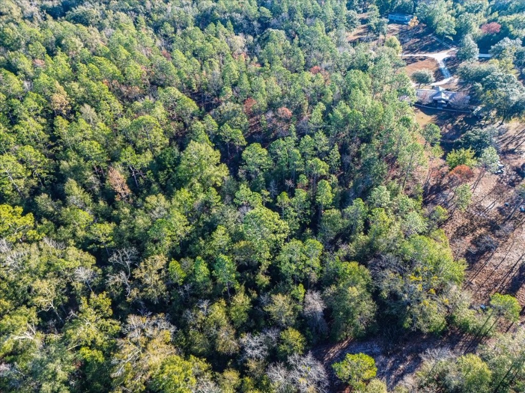 103rd Drive O'Brien FL 32071 GC536129 image15
